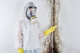 Best Air Quality Testing for Mold Spores  in High Springs, FL